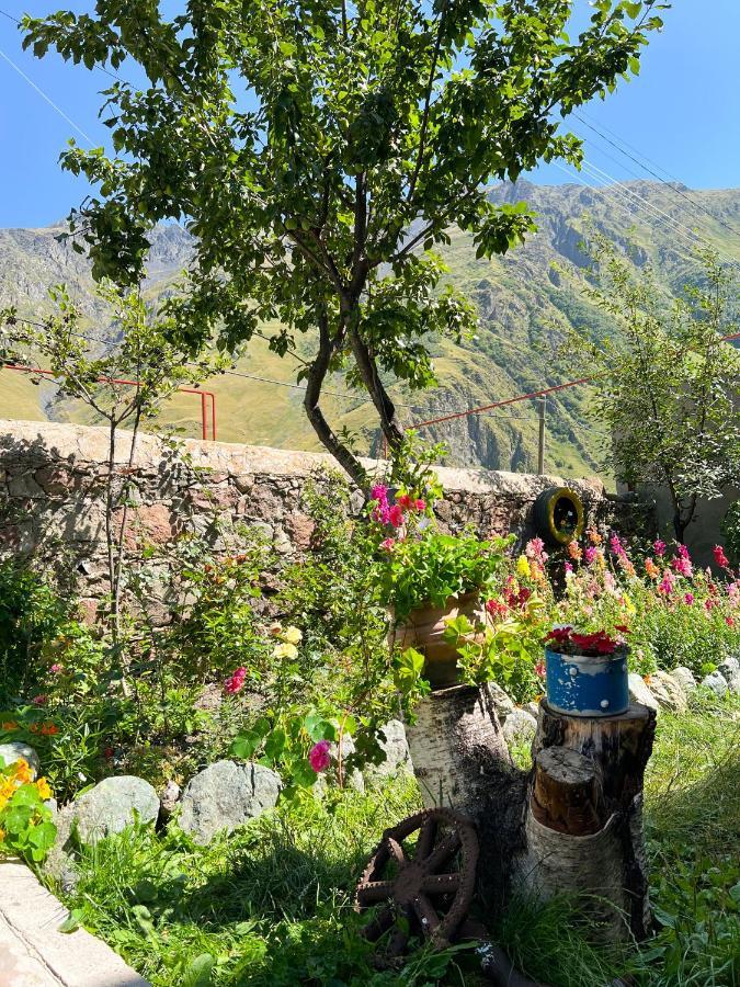 Ia'S Guest House Kazbegi Exterior foto